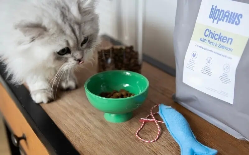 Win a Year's Supply of Tippaws Cat Food Good Housekeeping Competitions