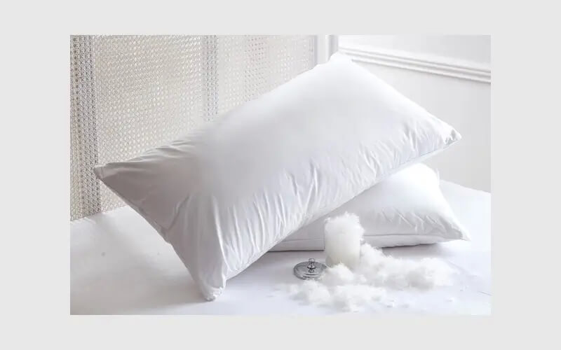 Win a Pair of Hungarian Goose Down Pillows Good Housekeeping Competitions