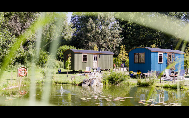 overnight stay in a luxury Shepherds Hut in the beautiful South Downs
