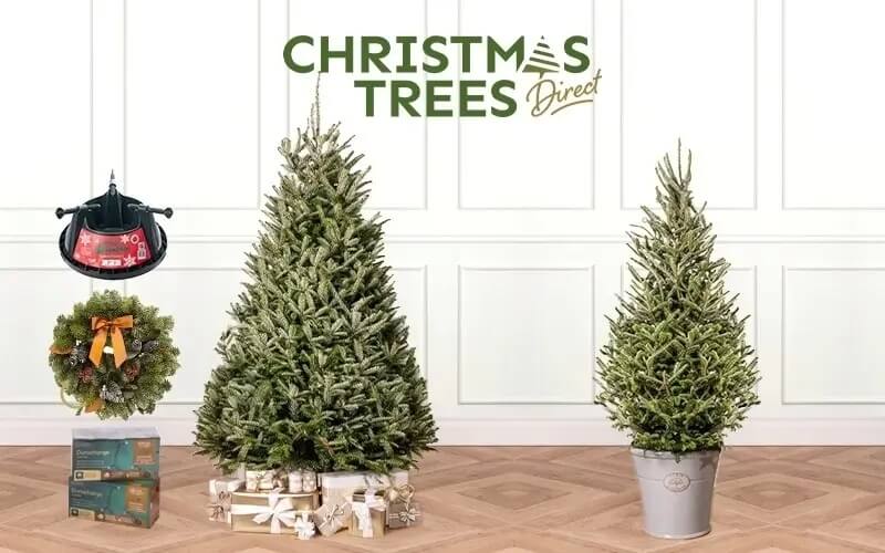 Win a Christmas Tree Bundle Christmas Trees Direct Country Living Competitions